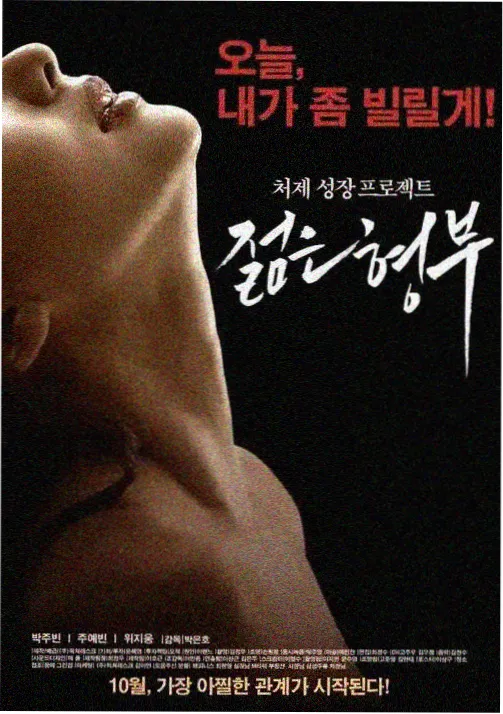 晨光里的手机镜头作品封面